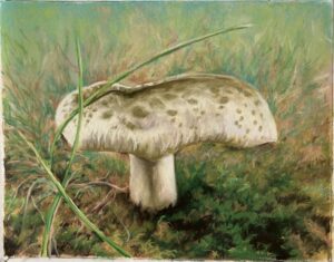 Lisa Helmstetter Lean On Me - Soft Pastel on sanded paper