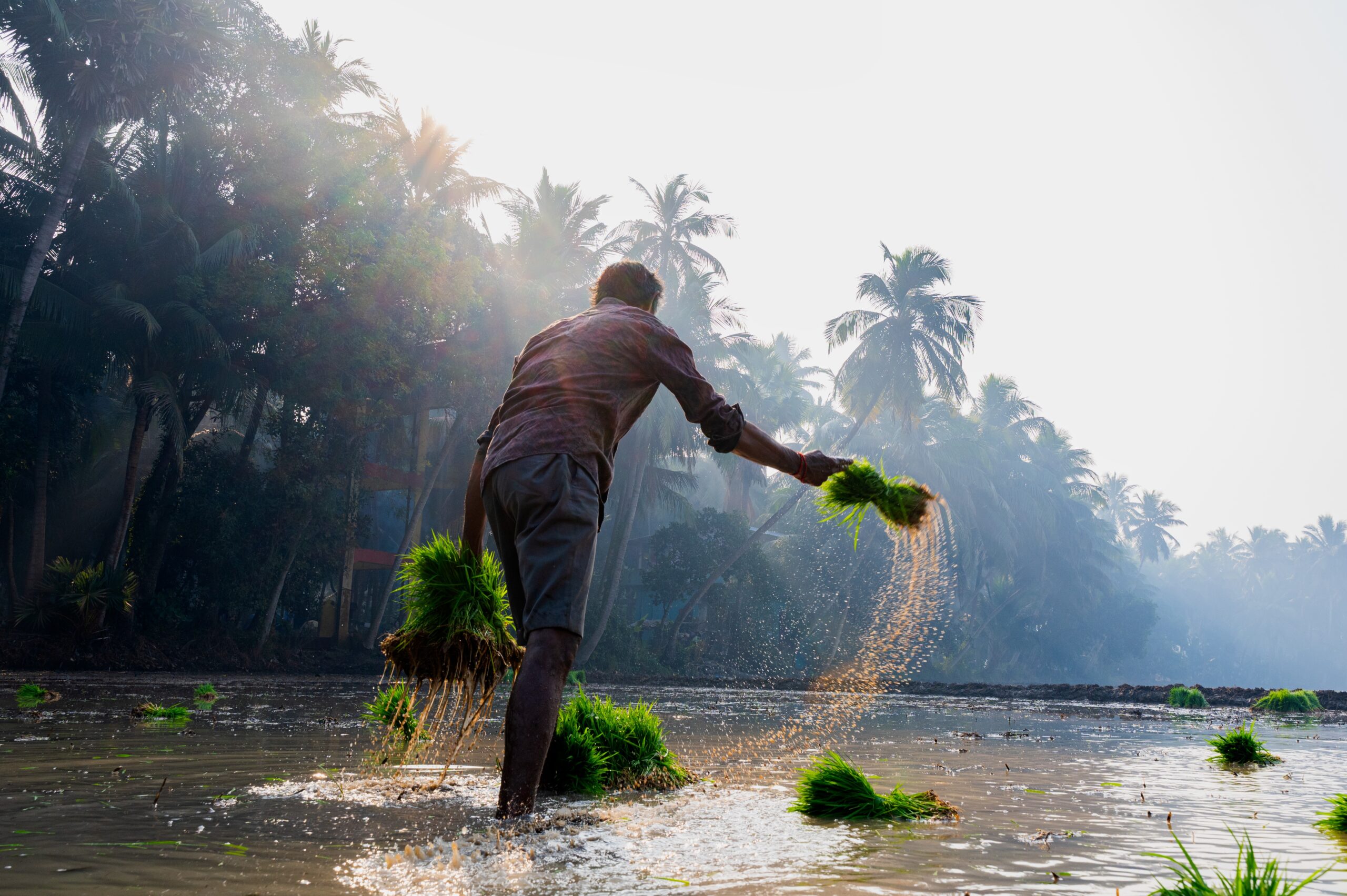 In the Throw by VAMSI KRISHNA VANUM
