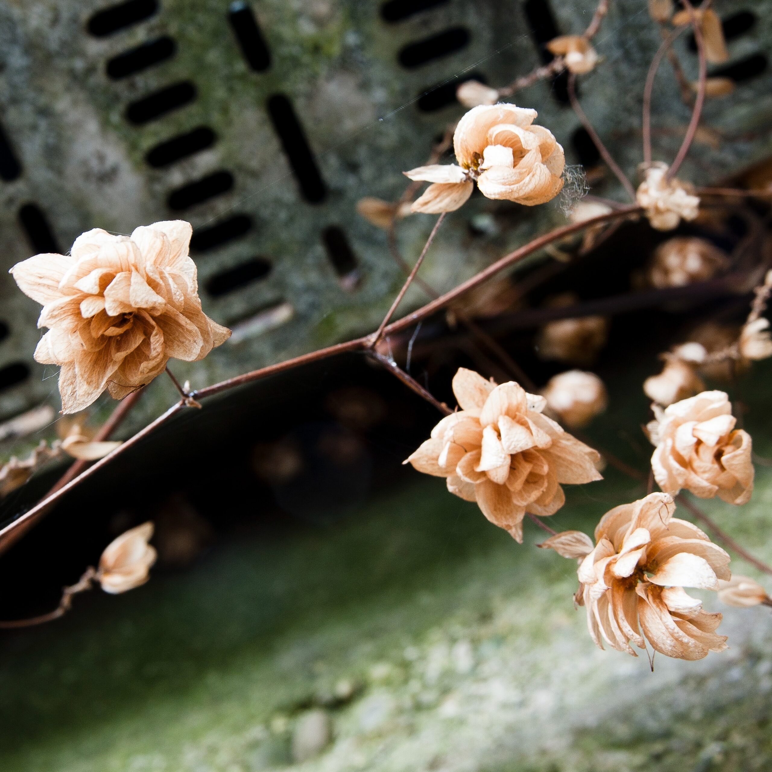 Remains of winter by Martina Budal