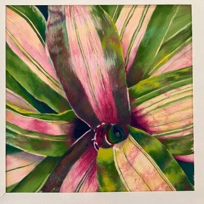 10_Stripes_July2023